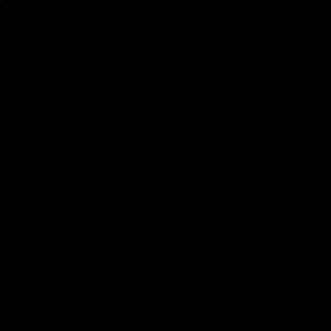 Meet your Posher, Fatoumata